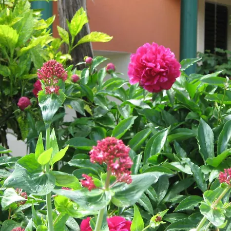 Guest house Bizjak