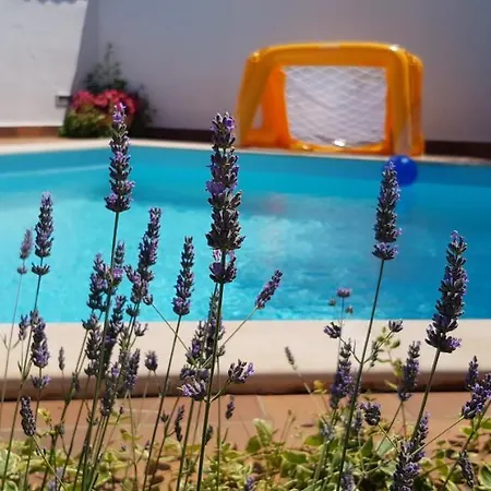 Bizjak Guest house Vinkuran