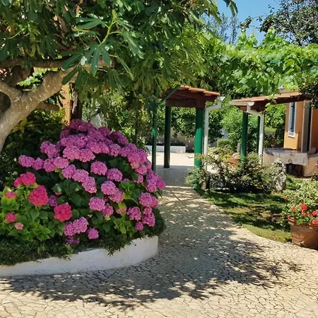 Bizjak Guest house Vinkuran