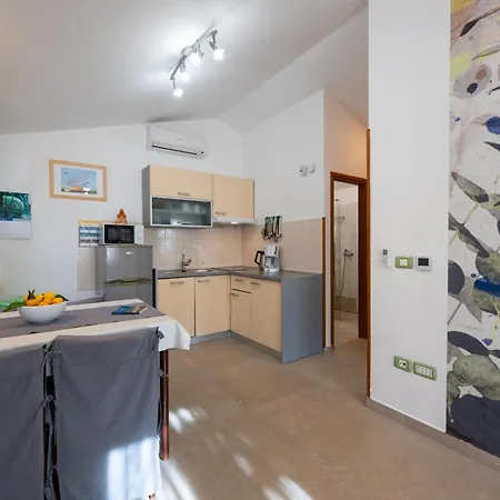 Bizjak Guest house Vinkuran