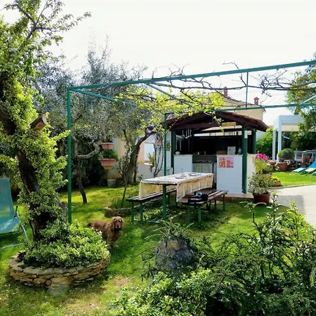 Bizjak 4* Vinkuran