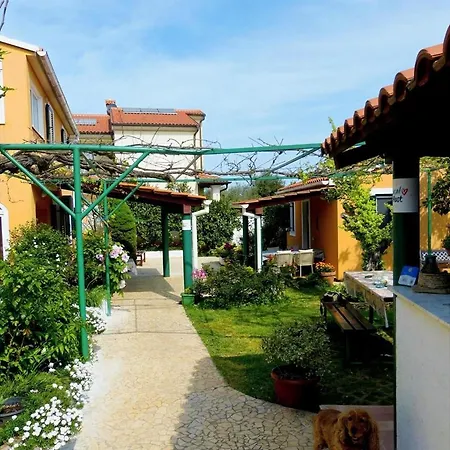 Bizjak 4*