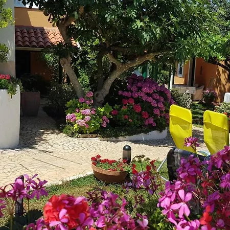 Bizjak 4* Vinkuran