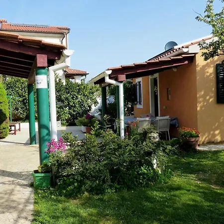 Bizjak 3*