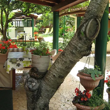 Bizjak Vinkuran